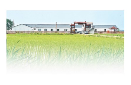 在吉林，105家科技小院正為鄉(xiāng)村振興助力——走進(jìn)黑土地深處