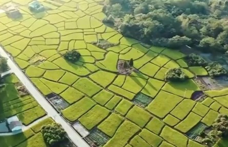 【新思想引領(lǐng)新時(shí)代改革開放】澎湃改革新動力 繪就農(nóng)業(yè)農(nóng)村現(xiàn)代化發(fā)展新篇章