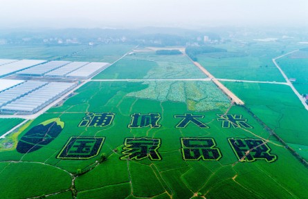 福建浦城：科技賦能，大米產(chǎn)業(yè)邁進(jìn)數(shù)字化時代