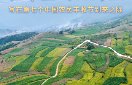 收獲，在希望的田野上——寫在第七個(gè)中國(guó)農(nóng)民豐收節(jié)到來(lái)之際