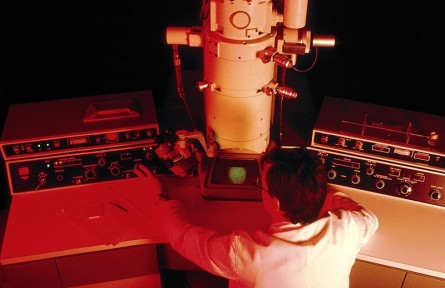 科技名詞|透射電子顯微鏡 transmission electron microscope；TEM