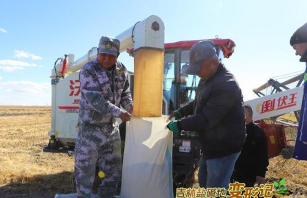 破“堿”重生！吉林鹽堿地變形記