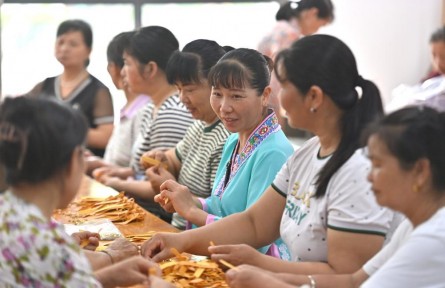 新華時(shí)評(píng)：一張藍(lán)圖繪到底——“解碼中國(guó)打贏脫貧攻堅(jiān)戰(zhàn)的世界意義”系列評(píng)論之二