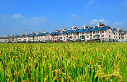 浙江嘉興：農(nóng)民“錢(qián)袋子”連續(xù)21年領(lǐng)跑全省