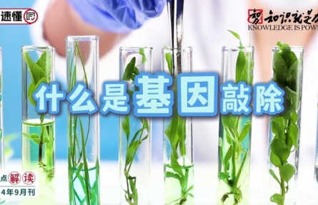 科普 | 什么是基因敲除？