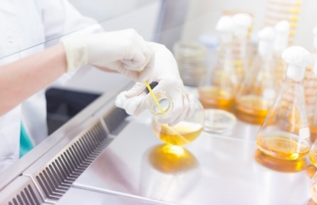 在生命科學研究中，人工智能發(fā)揮哪些作用？