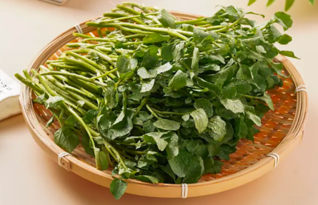 它被國外評為最具營養(yǎng)活力的蔬菜，但我打賭90%的人沒吃過