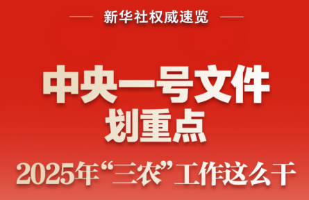 中央一號(hào)文件劃重點(diǎn)，2025年“三農(nóng)”工作這么干
