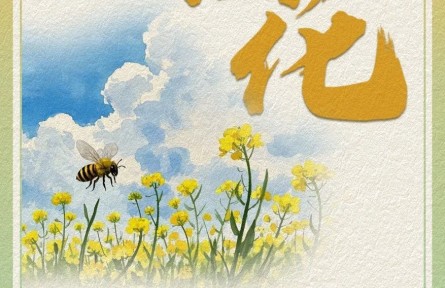 油菜花哪里賞？快收下這份油菜花賞花氣象指南！