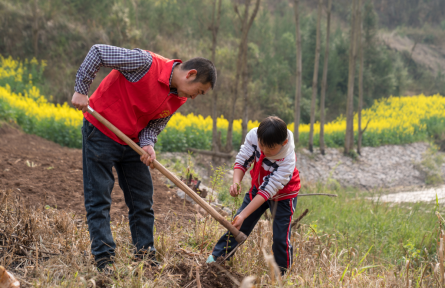 全民義務(wù)植樹(shù)運(yùn)動(dòng) nationwide voluntary tree-planting campaign