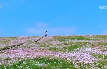 農(nóng)業(yè)農(nóng)村部推出“美麗鄉(xiāng)村游”60條精品線路 有何“亮點(diǎn)”？