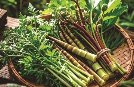 野菜嘗鮮季，如何避免舌尖風(fēng)險