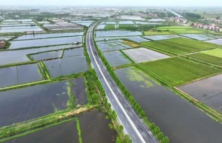 湖北江陵：小龍蝦“鏈”出大產(chǎn)業(yè)！繪就農(nóng)業(yè)發(fā)展新圖景