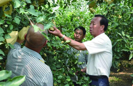 楊雙牛：40年深耕，石頭縫里長出億元產(chǎn)業(yè)
