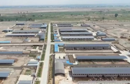 甘肅：特色富民產(chǎn)業(yè) 推進(jìn)鄉(xiāng)村全面振興