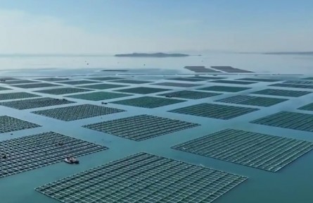 遼寧：建設海洋牧場 充實“藍色糧倉”