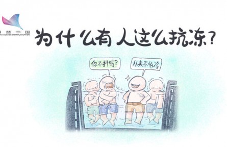 真的有人更不怕冷嗎？原來是骨骼肌中缺少一種蛋白