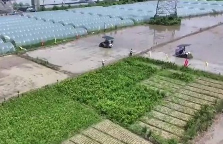 【在希望的田野上·三夏時(shí)節(jié)】全國已夏播糧食2.7億畝 進(jìn)度過半