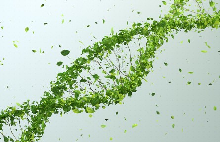 科技名詞|生長因子 growth factor，GF