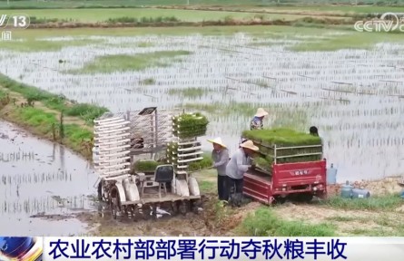 全力以赴打牢秋糧豐收基礎(chǔ) 奮戰(zhàn)100天防汛抗災(zāi)、抓夏管、提單產(chǎn)
