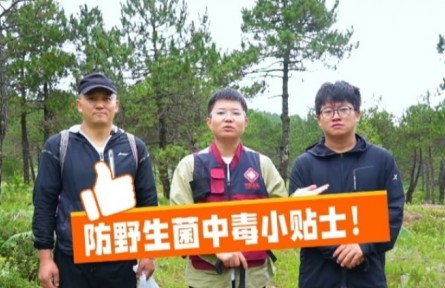 這份“防野生菌中毒小貼士”請收好！