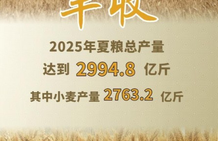 2994.8億斤！2025年夏糧“成績單”出爐