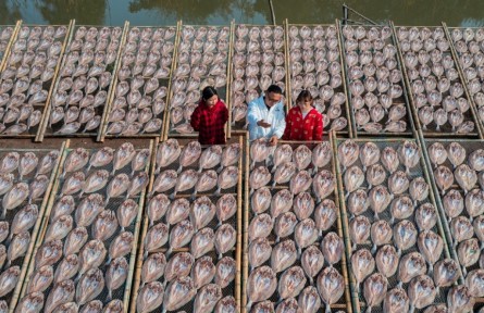 浙江溫嶺：“海味經濟”闖出“靠海吃?！毙侣纷?></a></td>
<td align=