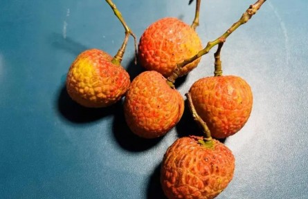 吃荔枝能降糖？千萬不要這么做！