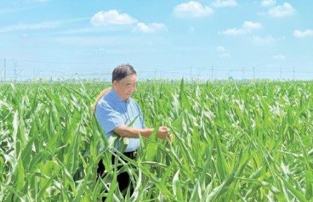 53本筆記，半個(gè)世紀(jì)“糧心”——記時(shí)代楷模、安徽省太和縣種糧大戶徐淙祥