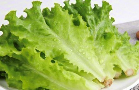 辟謠|生吃生菜真的會(huì)感染寄生蟲嗎？