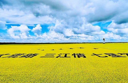 踏上黑土地，真正讀懂了“北大荒”