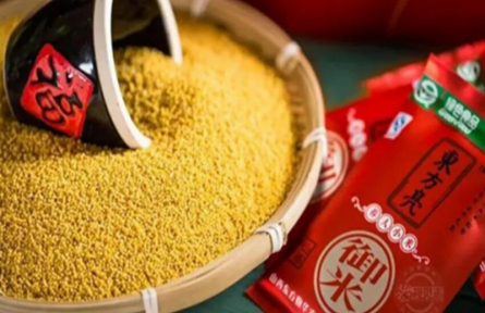 家鄉(xiāng)“特”“優(yōu)”農(nóng)產(chǎn)品“大學(xué)生推薦官”行動(dòng)|品牌手記?：廣靈小米“東方亮”品牌成長(zhǎng)記