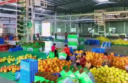 江西:特色產(chǎn)業(yè) 繪就富民基礎(chǔ)