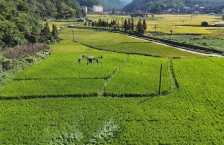貴州：無人機智慧助農(nóng) 提高生產(chǎn)效率