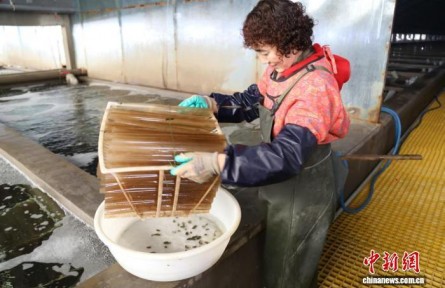 從“靠海吃?！钡健翱萍几！?山東守護“藍(lán)色糧倉”