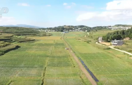 ?國慶中秋“菜籃子”供應充足 價穩(wěn)物豐滿足節(jié)日消費需求