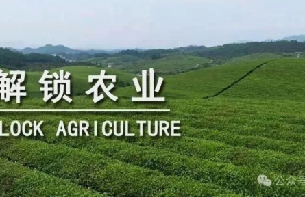 未來十年，中國(guó)需要什么樣的農(nóng)業(yè)品牌？｜特稿