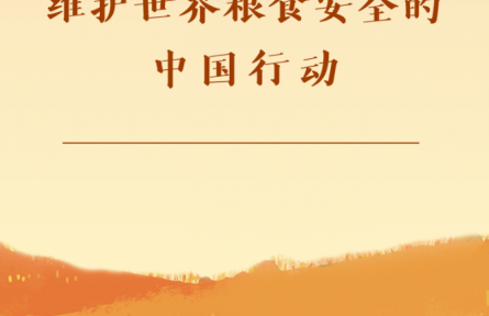 第一觀察|維護世界糧食安全的中國行動