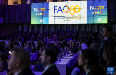 聯(lián)合國糧農(nóng)組織舉行世界糧食日暨成立80周年慶?；顒?></a></td>
<td align=