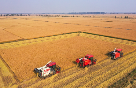 聯(lián)合國(guó)糧食及農(nóng)業(yè)組織 Food and Agriculture Organization (FAO) of the United Nations