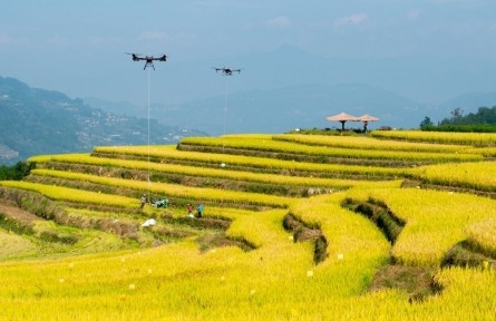 年收入約18萬億元!鄉(xiāng)村產(chǎn)業(yè)繪新貌