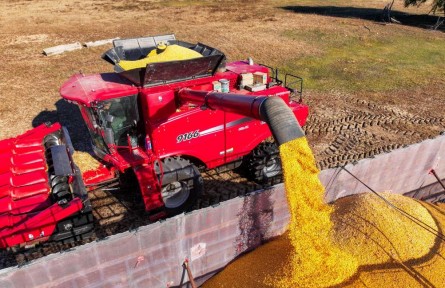 千里沃野豐收忙——內(nèi)蒙古玉米主產(chǎn)區(qū)通遼秋收見聞