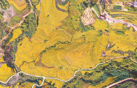 福建：谷豐倉滿，糧安八閩