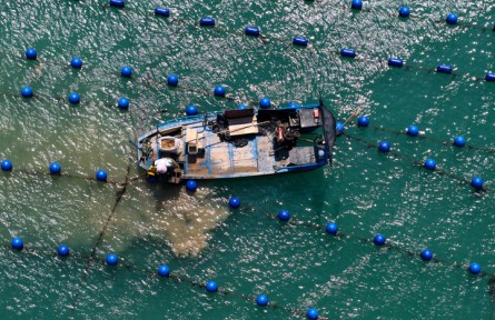 福建連江：“海洋牧場”耕作忙