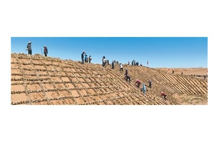 麥草方格，方寸之間鎖流沙