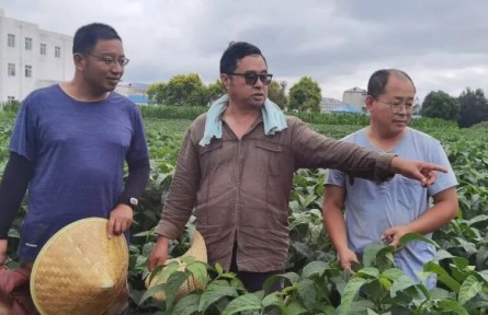 黑龍江：深耕北疆育“金豆”