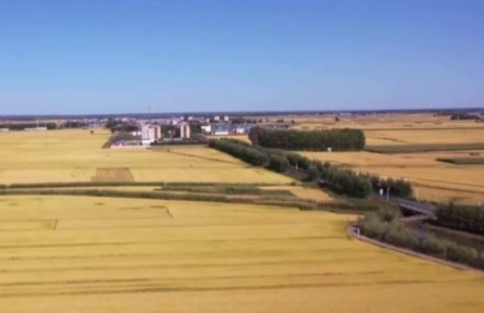 吉林：以豐收做筆 書寫“三農”答卷