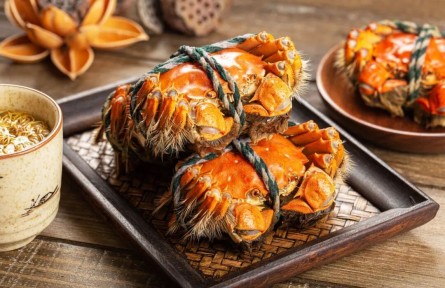 辟謠|剛死的螃蟹，到底能不能吃？