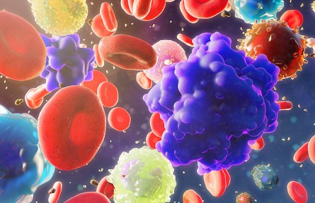 科技名詞|循環(huán)腫瘤細胞 circulating tumor cell；CTC