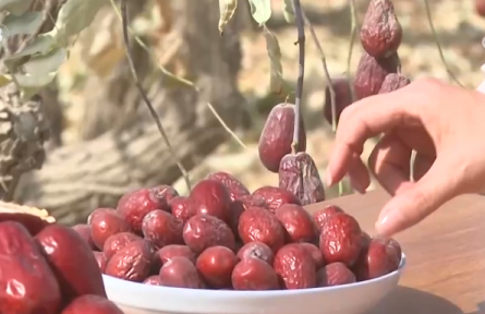 新疆和田地區(qū)：沙地甜果“撬動”大市場 特色產(chǎn)業(yè)富了百姓、美了鄉(xiāng)村